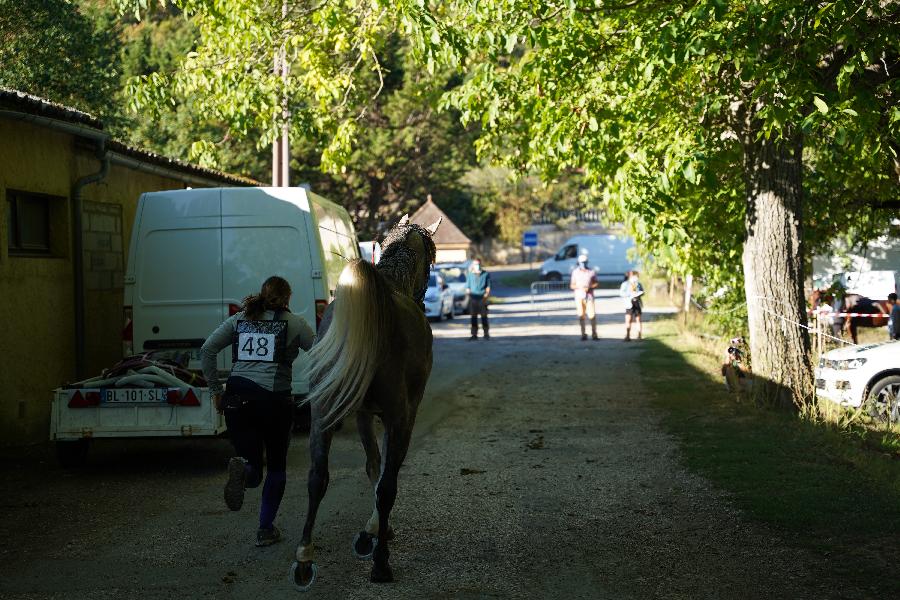 Balade  cheval Dordogne Prigord photo 2