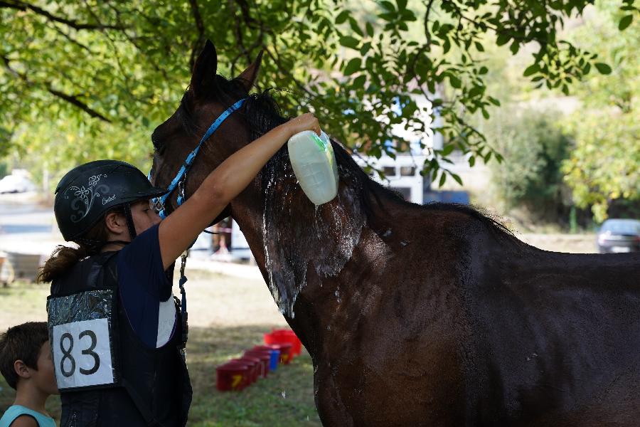 Balade  cheval Dordogne Prigord photo 3