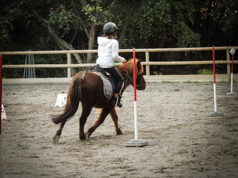 Stage quitation   photo 2