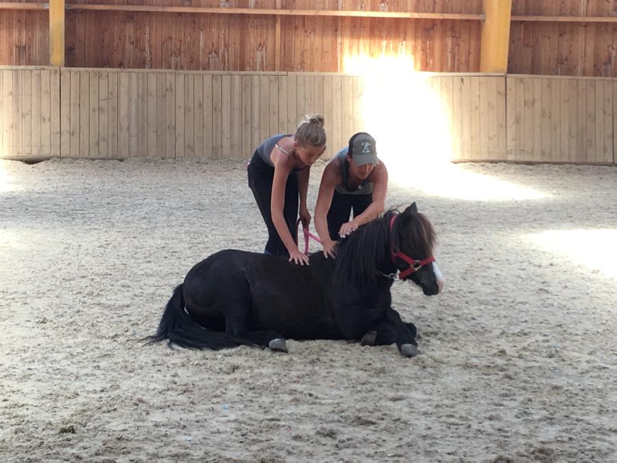 Stage quitation   photo 3
