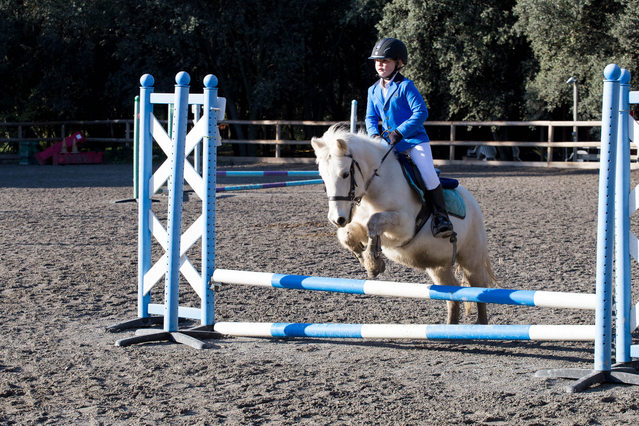 Nouveau Cheval Poney Enfant Adulte cavalier saut Dublin Roma tressé Crop Fouet 65 cm 