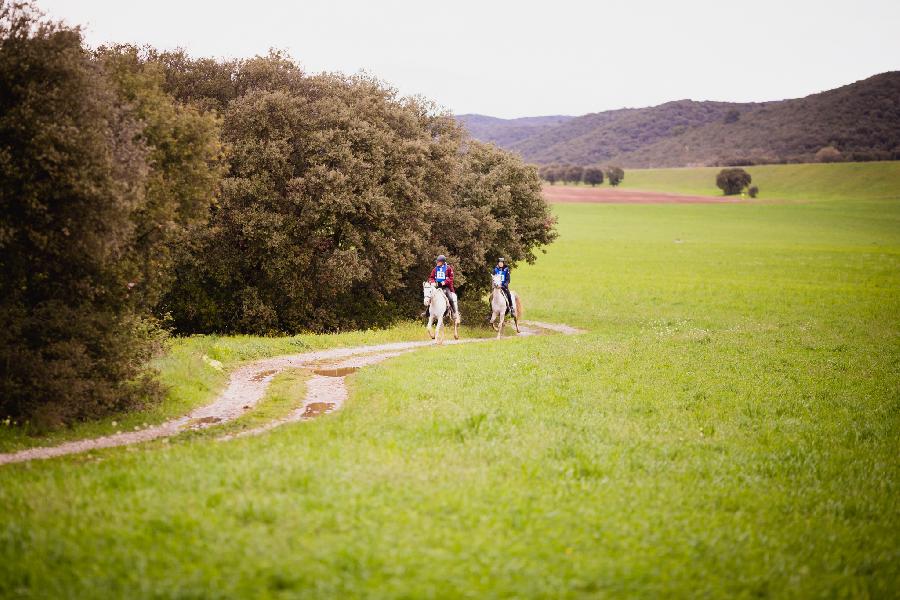 Sjour questre Alpes de Haute-Provence Provence photo 3