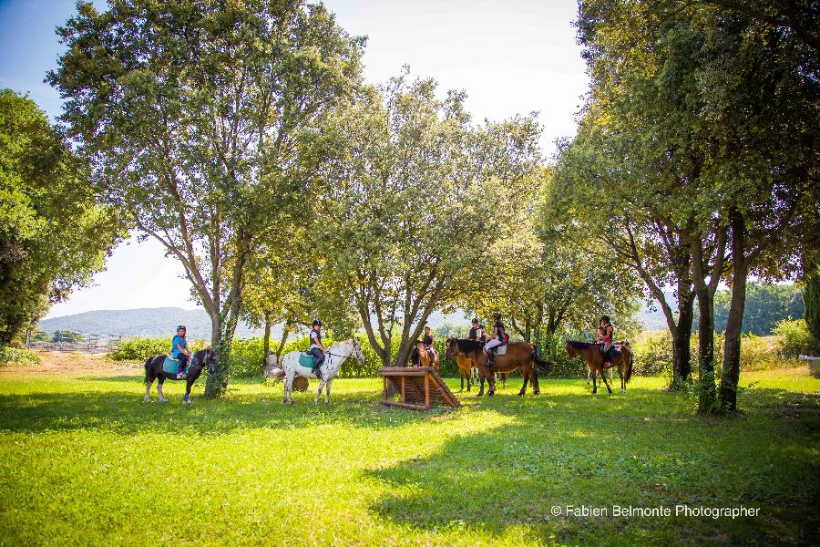 stage Stage questre multi-activits Alpes de Haute-Provence