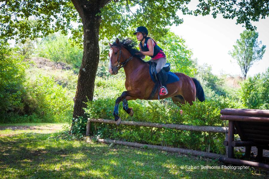 stage Equitation classique Alpes de Haute-Provence