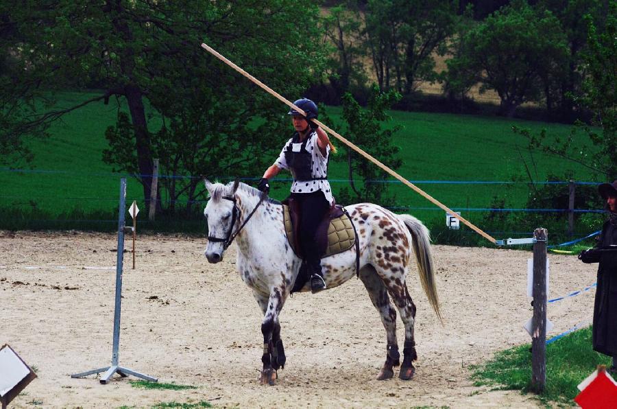 stage Equitation classique Alpes de Haute-Provence