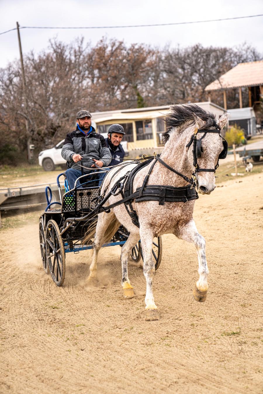 Balade  cheval Alpes de Haute-Provence 