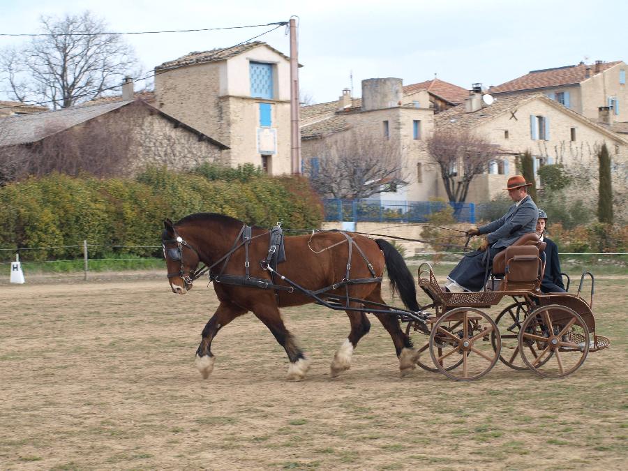 Sjour questre Alpes de Haute-Provence  photo 6