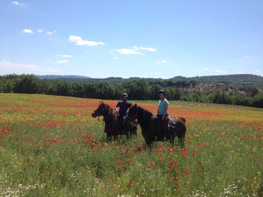 Sjour questre Alpes de Haute-Provence Provence