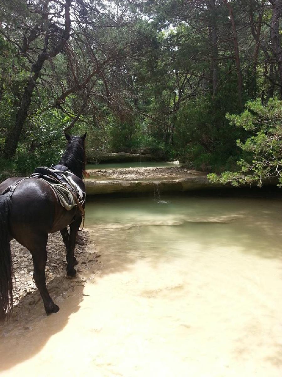 Sjour questre Alpes de Haute-Provence Provence photo 2