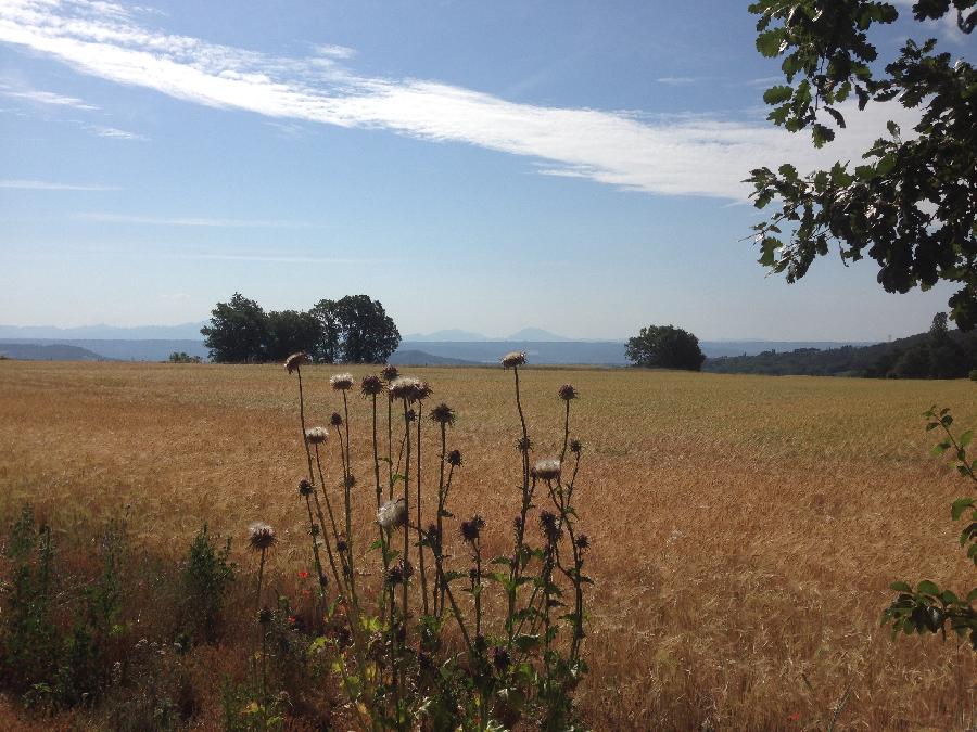 Sjour questre Alpes de Haute-Provence Provence photo 5