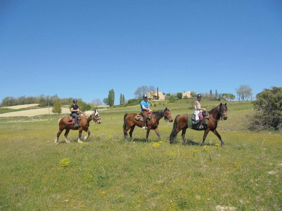 Stage quitation Alpes de Haute-Provence Provence photo 6