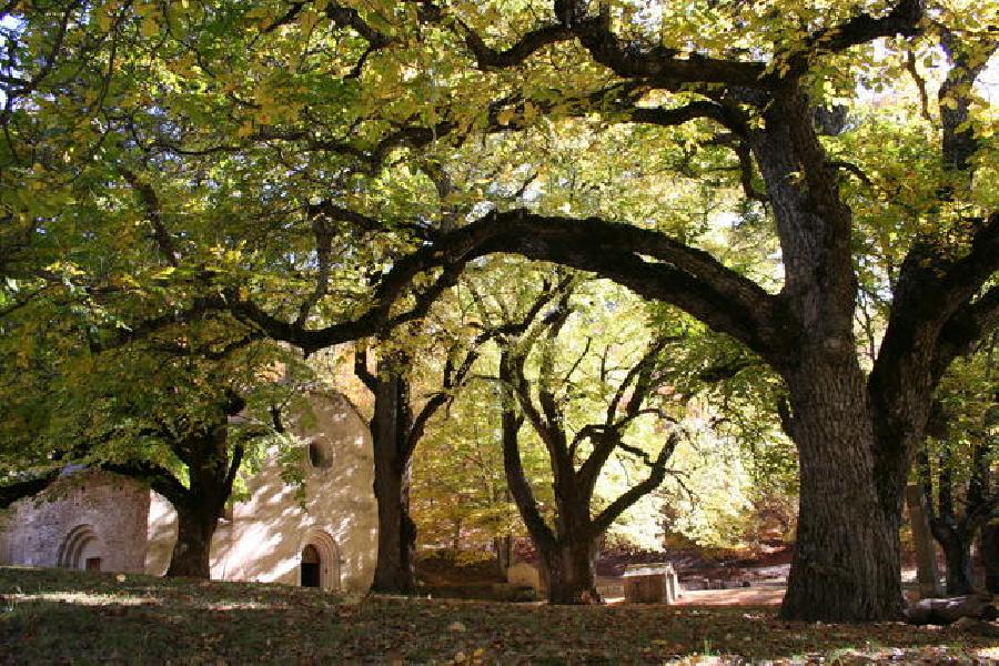 Stage quitation Alpes de Haute-Provence Provence photo 4