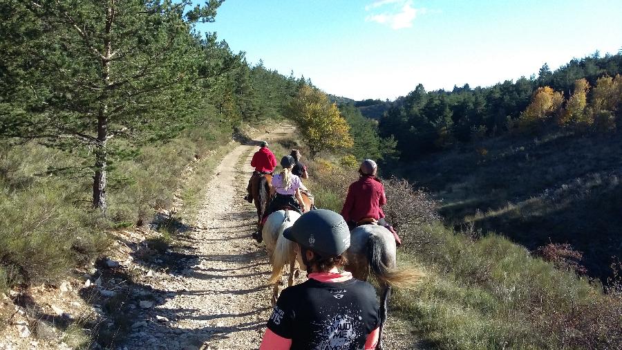 Sjour questre Alpes de Haute-Provence Provence photo 6