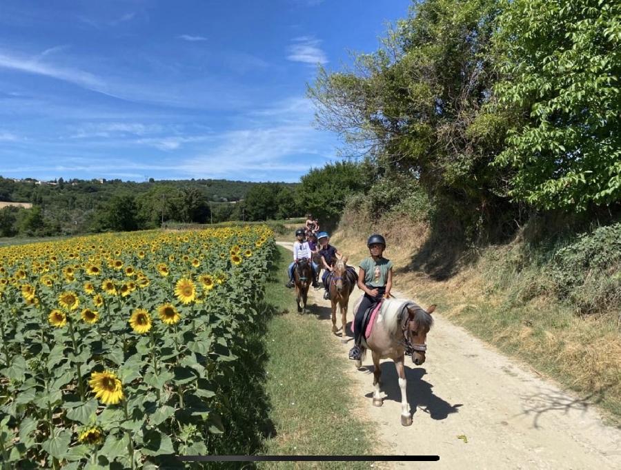 stage Stage questre multi-activits Alpes de Haute-Provence