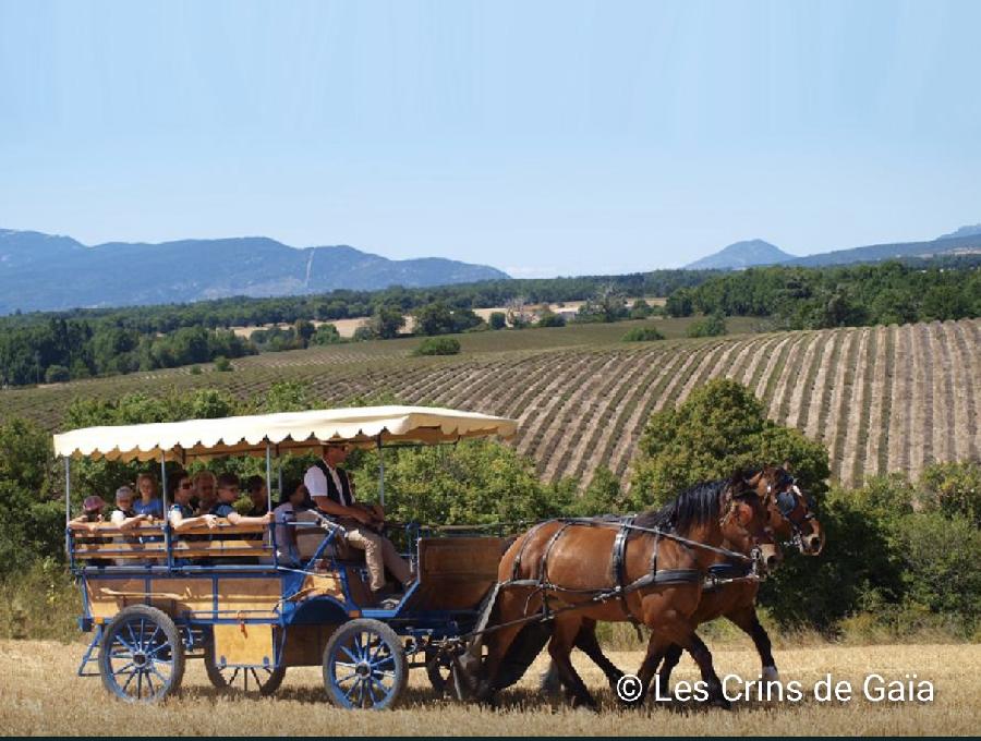 sejour Alpes de Haute-Provence Provence photo 4