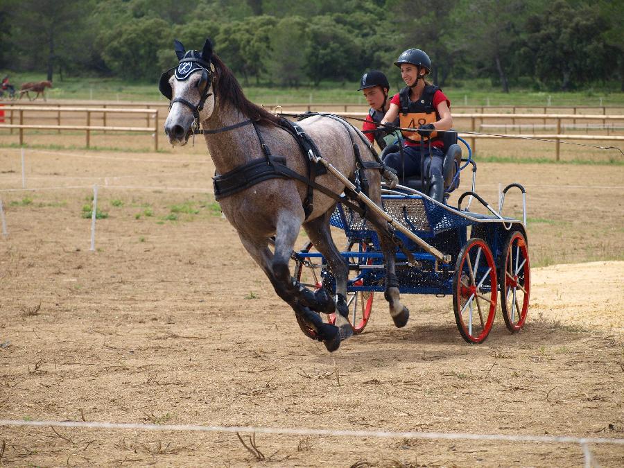 Balade  cheval Alpes de Haute-Provence  photo 2