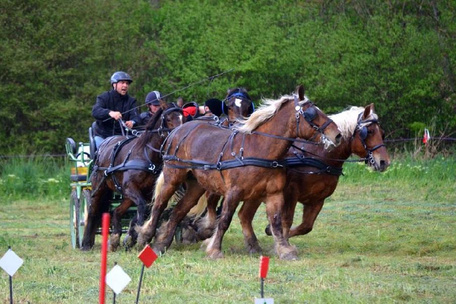 Balade  cheval Alpes de Haute-Provence Provence photo 2