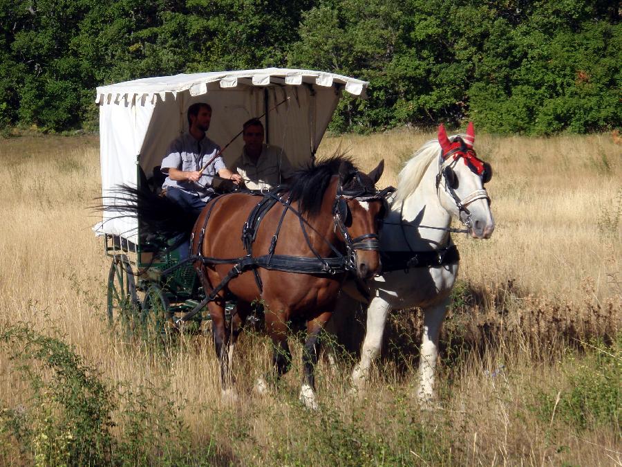 Balade  cheval Alpes de Haute-Provence Provence photo 3