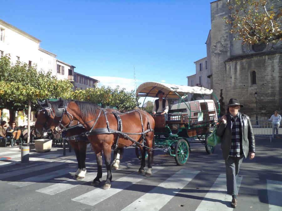 Stage quitation Alpes de Haute-Provence Provence photo 5