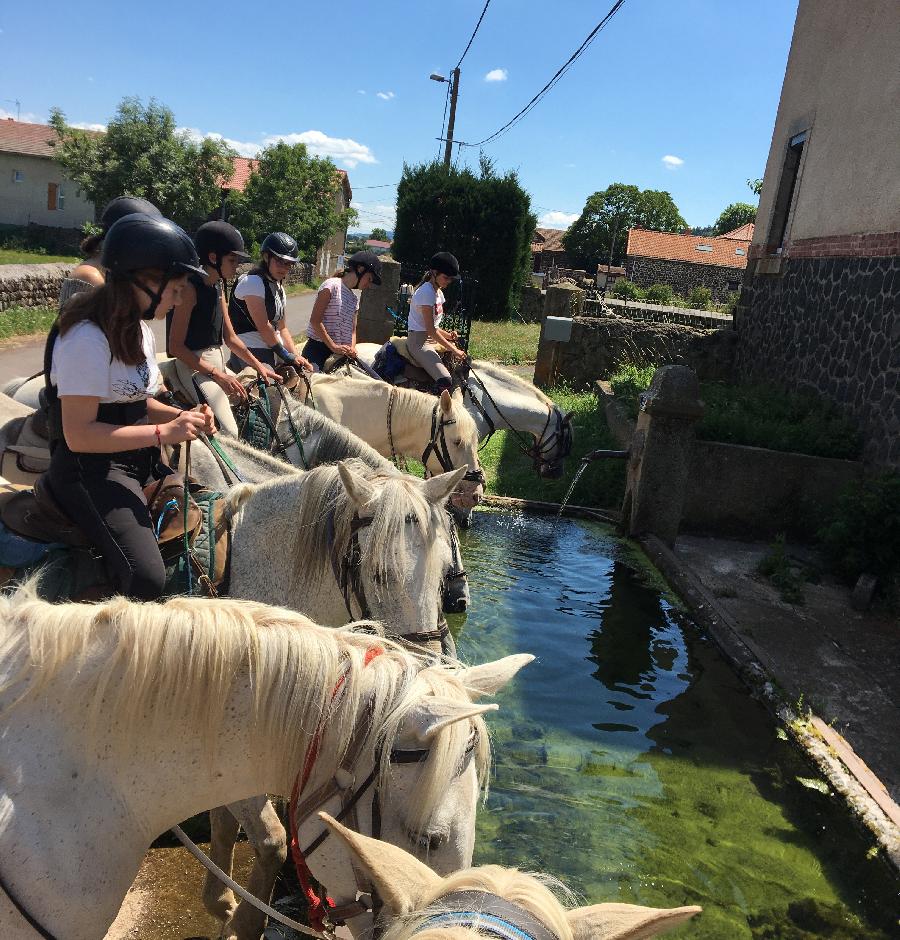 sejour Haute-Loire  photo 4