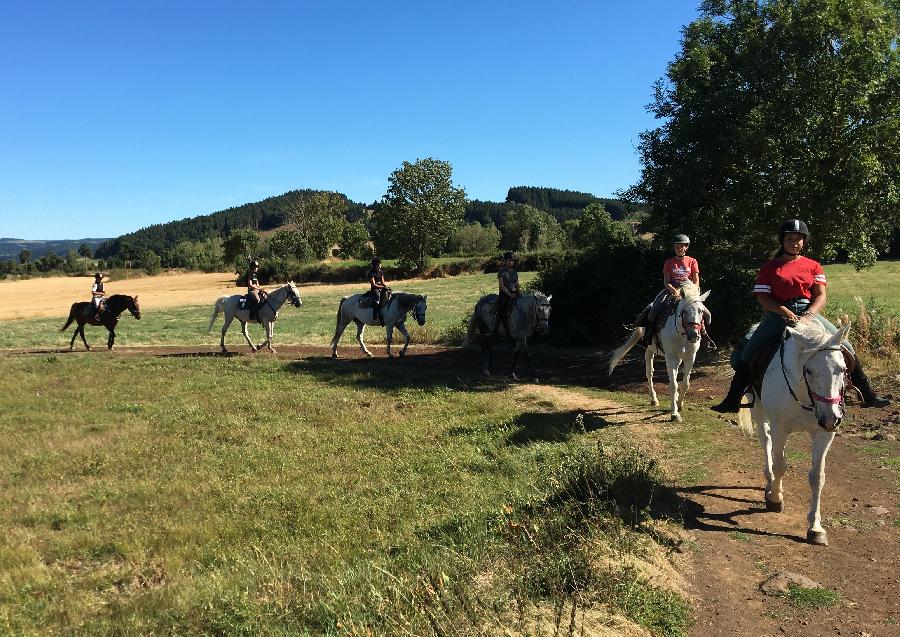 sejour Haute-Loire  photo 6