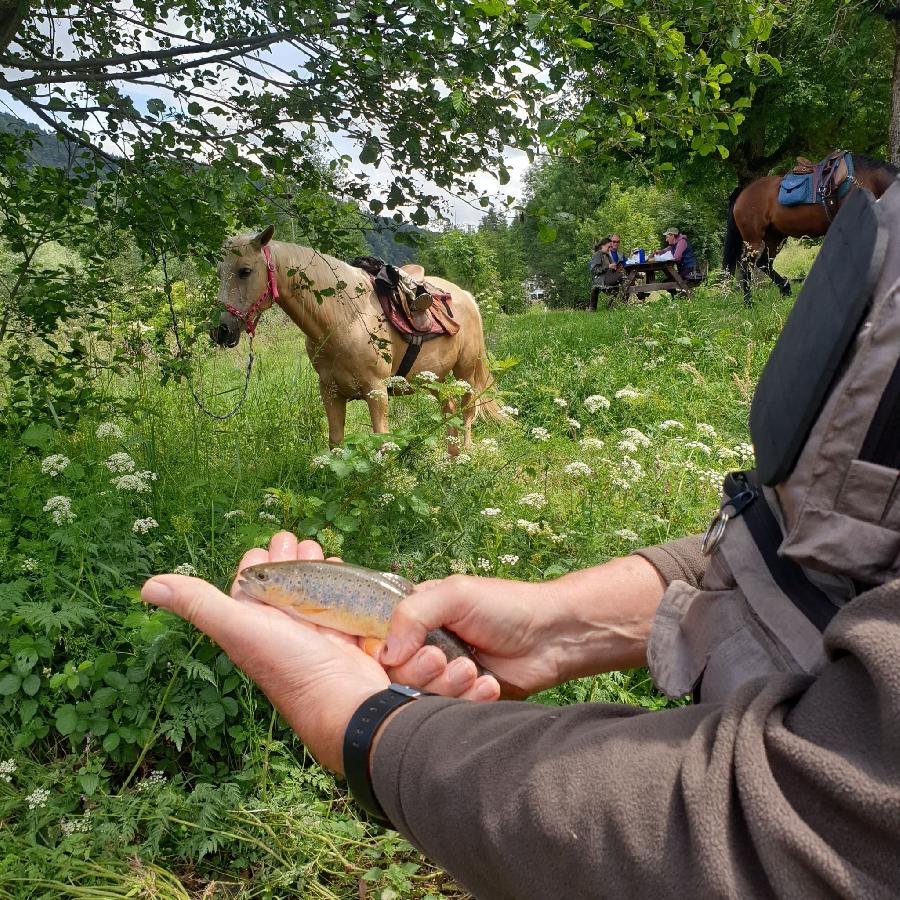 stage Equitation de pleine nature Haute-Loire