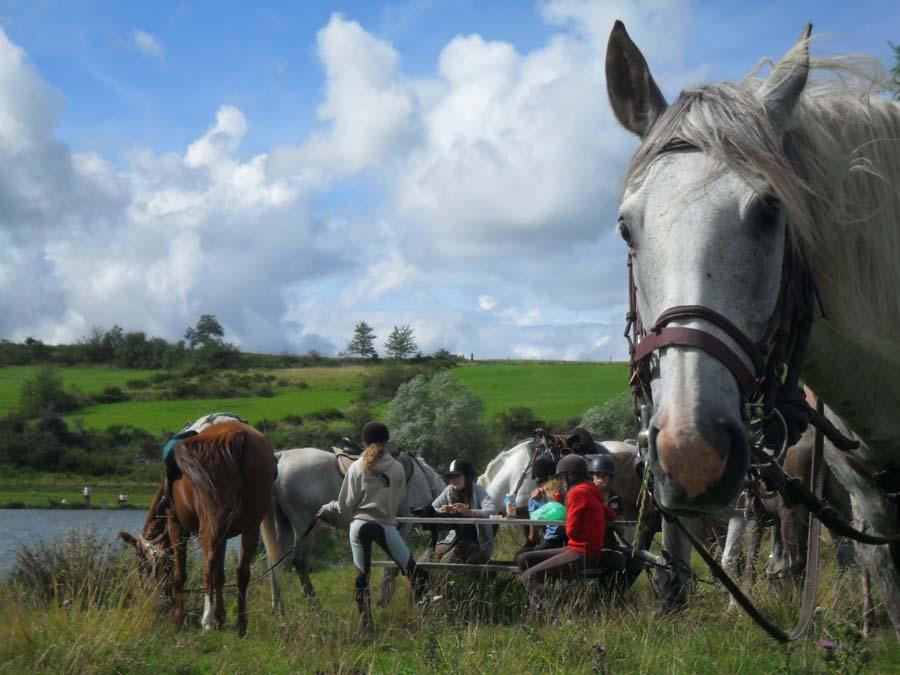 sejour Haute-Loire 