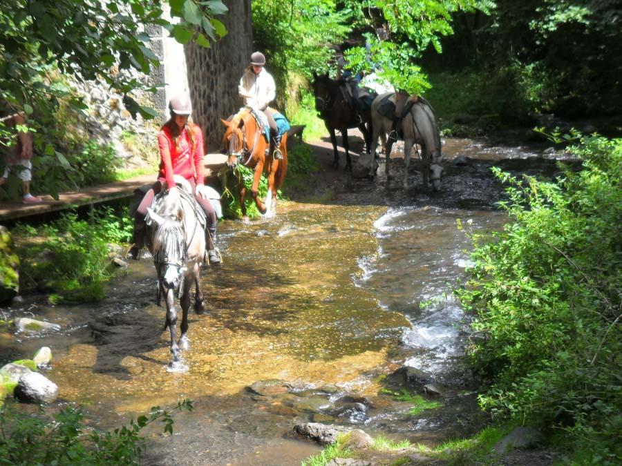 sejour Haute-Loire  photo 2