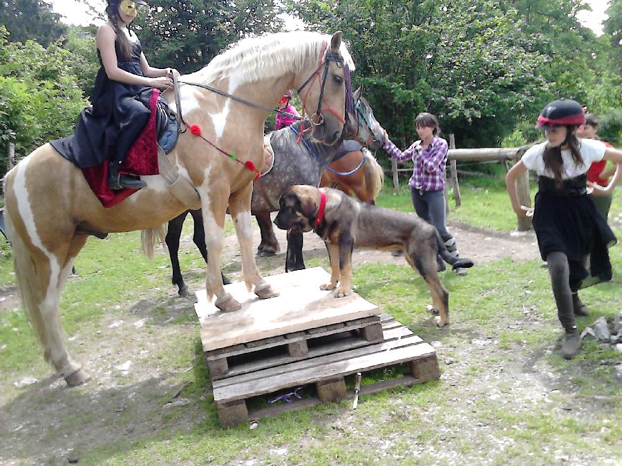 Stage quitation   photo 6