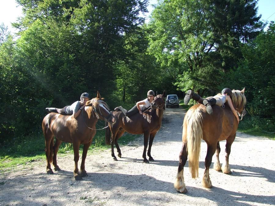 stage Equitation de pleine nature Jura