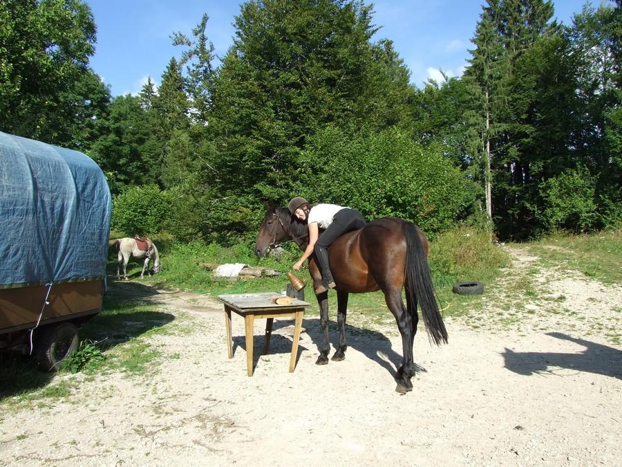 Stage quitation   photo 2