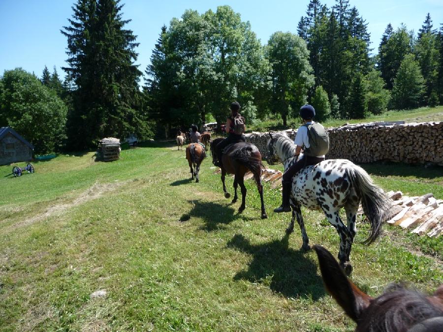 stage Equitation de pleine nature Jura