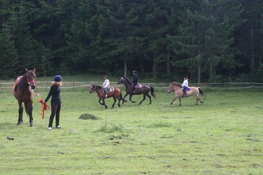 Stage �quitation   photo 3