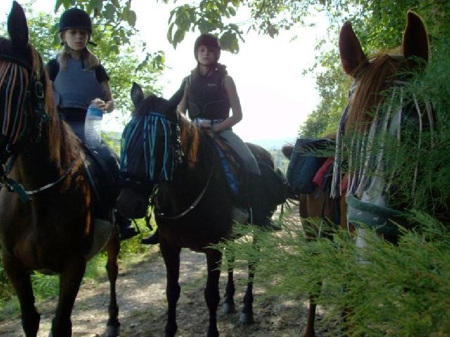Stage �quitation   photo 4