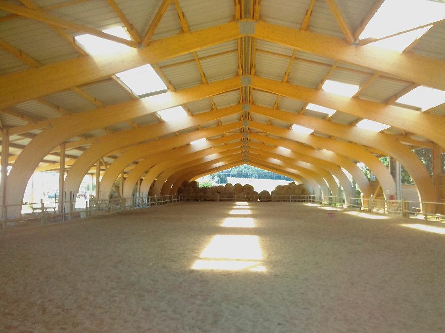 stage Equitation classique Hrault