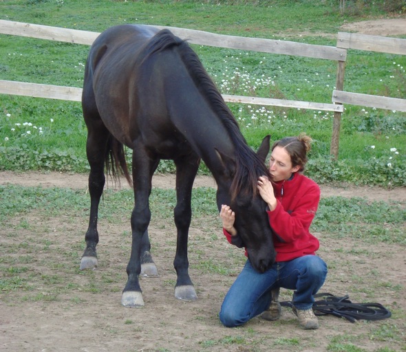 Fais de belles rencontres autour De l Equitation