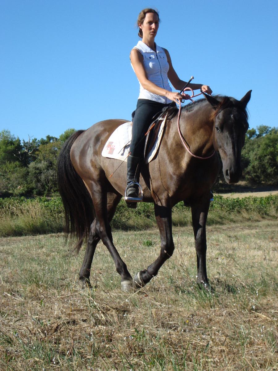 Rencontre Celibataire Equitation