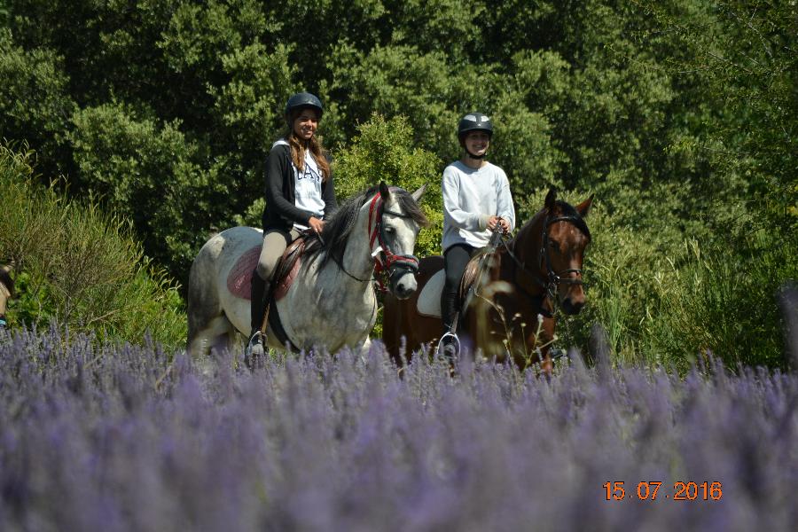 stage Equitation classique Drme