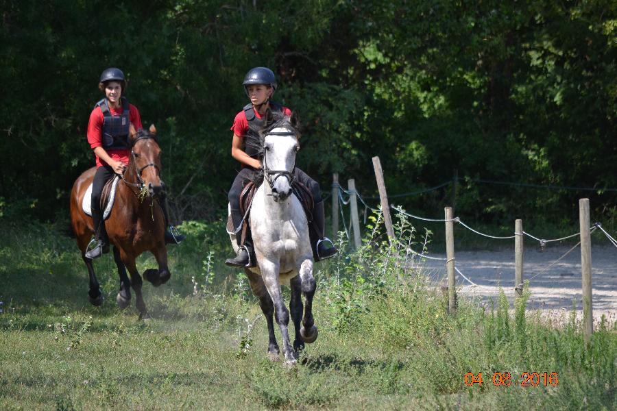 Stage quitation   photo 2