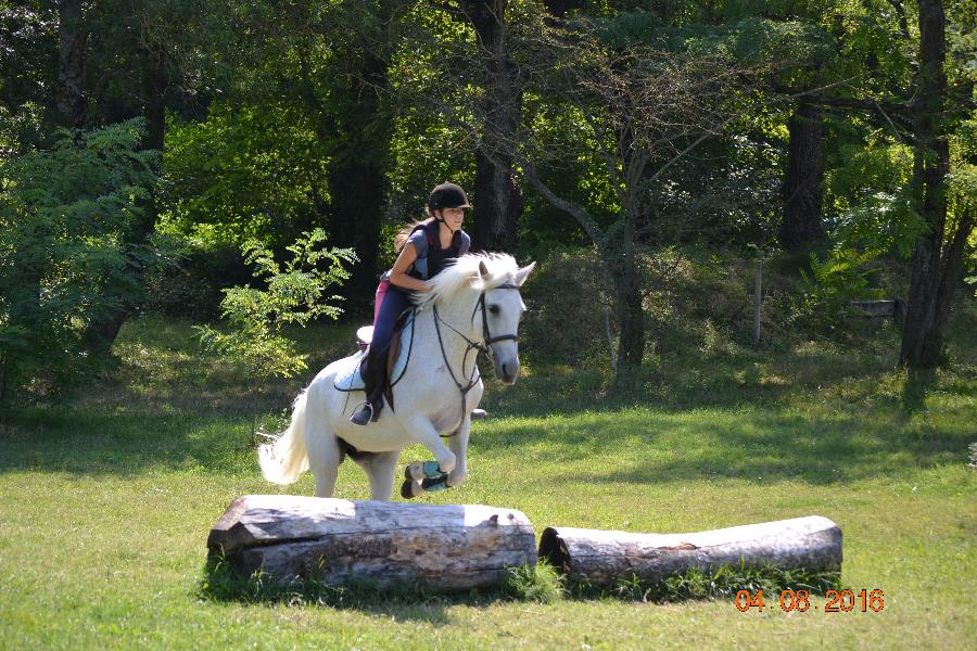 Stage quitation   photo 3