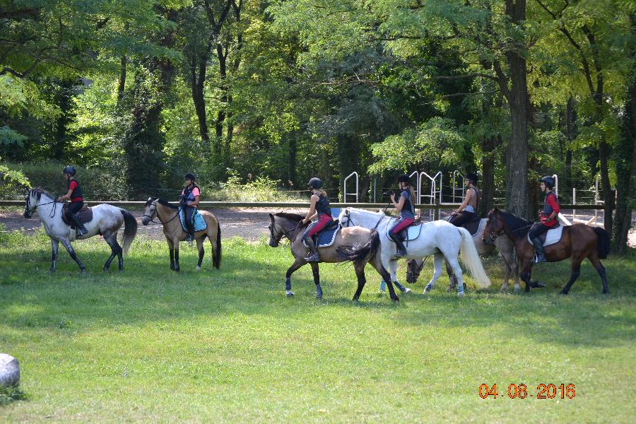 Stage quitation   photo 4