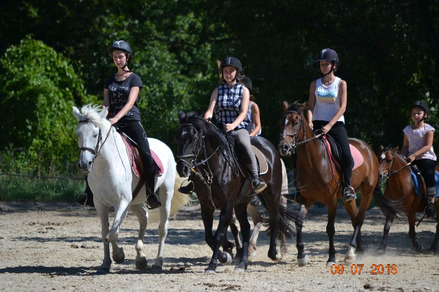 Stage quitation   photo 6