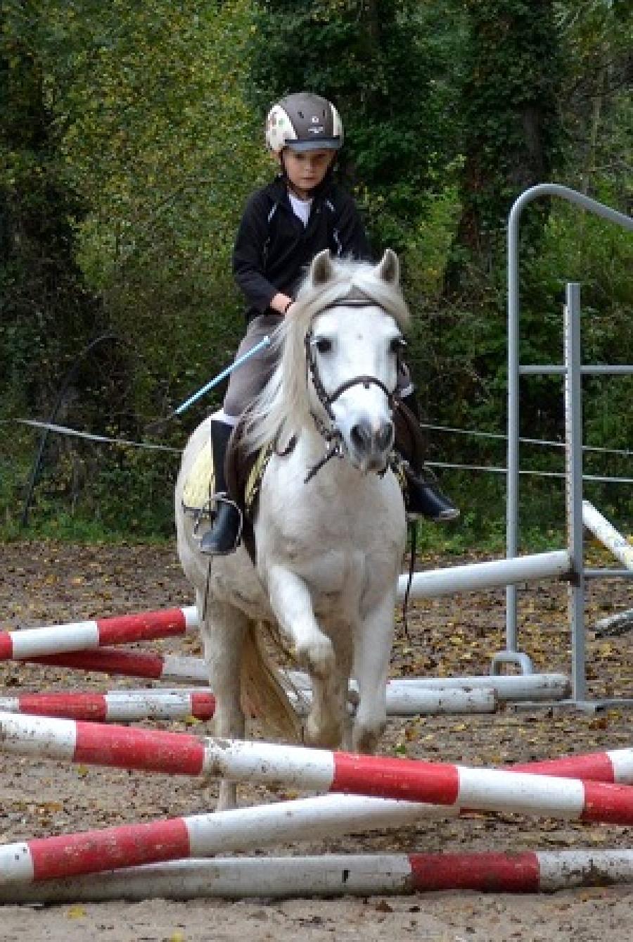 Stage quitation   photo 2