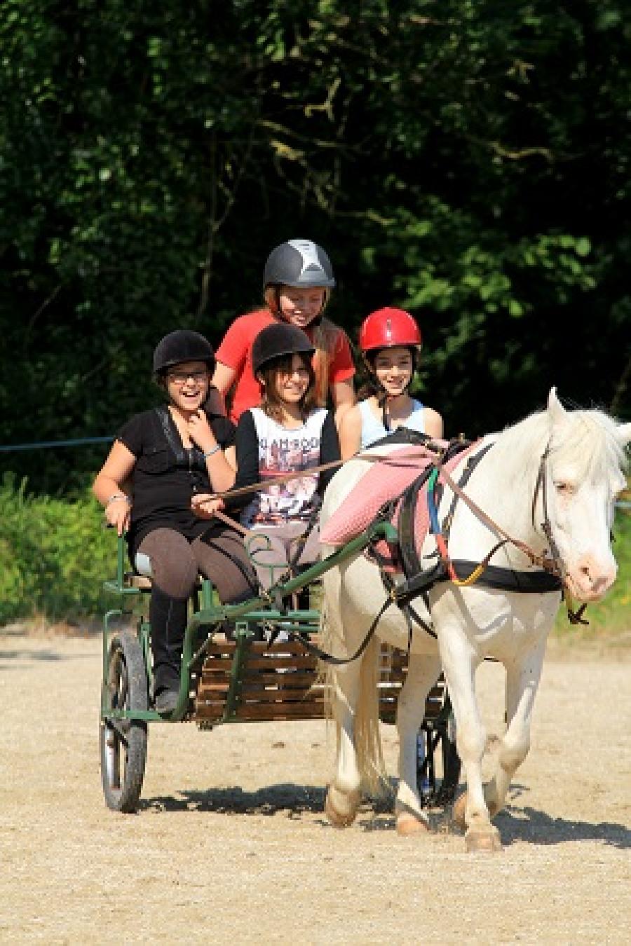Stage quitation   photo 3