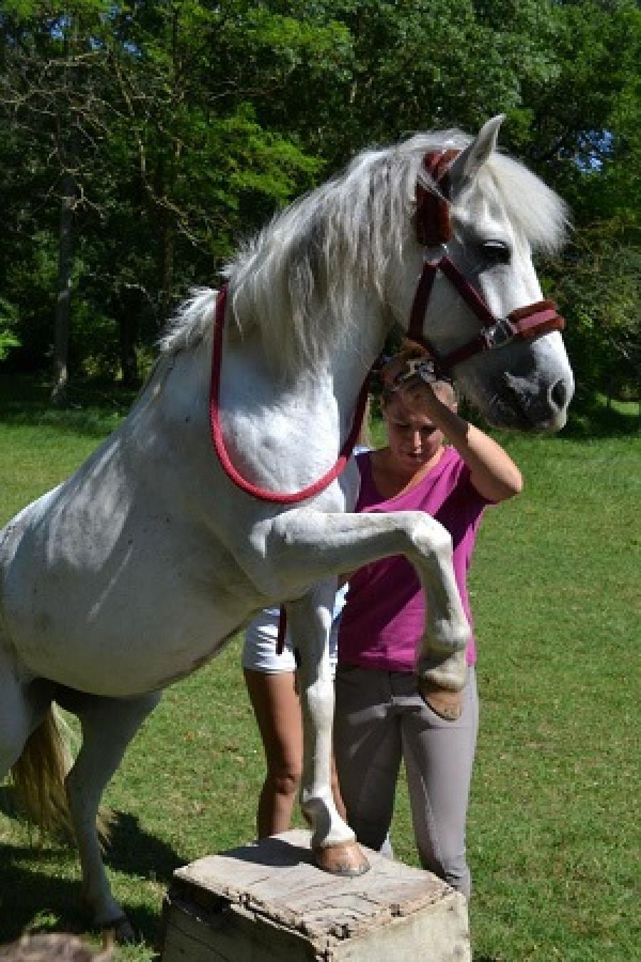 Stage quitation   photo 4