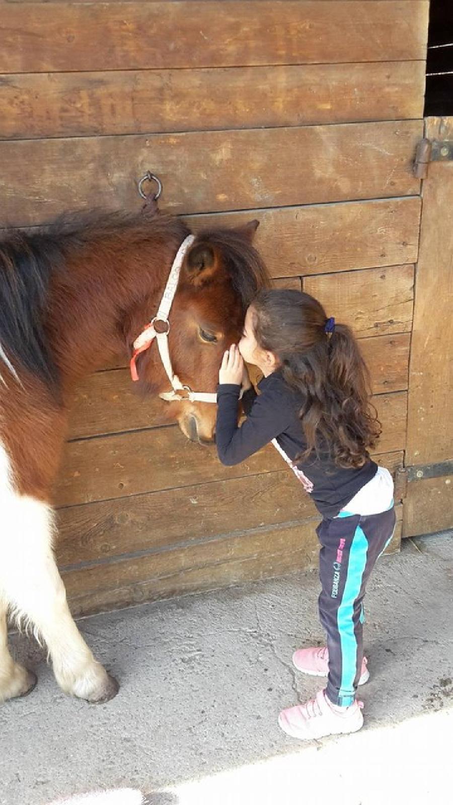 Balade  cheval Hautes-Alpes Pays du Buch photo 3