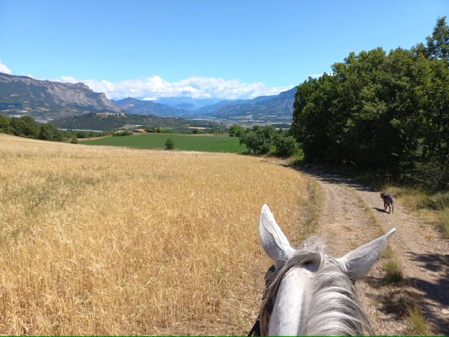 Balade  cheval Hautes-Alpes Pays du Buch photo 2