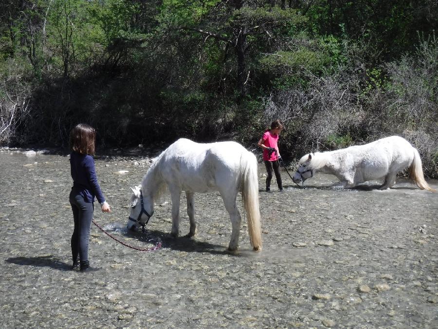 Randonne questre Hautes-Alpes Pays du Buch photo 6