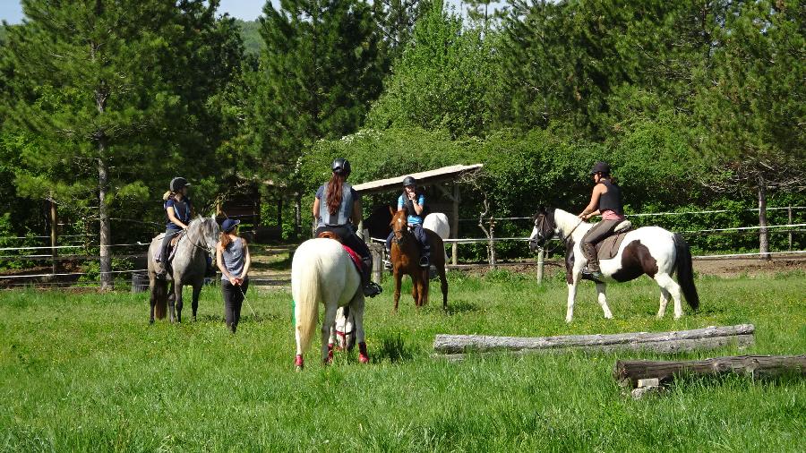 Stage quitation Hautes-Alpes Pays du Buch photo 4