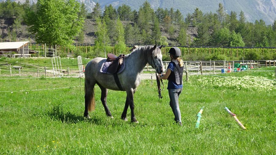 Stage quitation Hautes-Alpes Pays du Buch photo 3